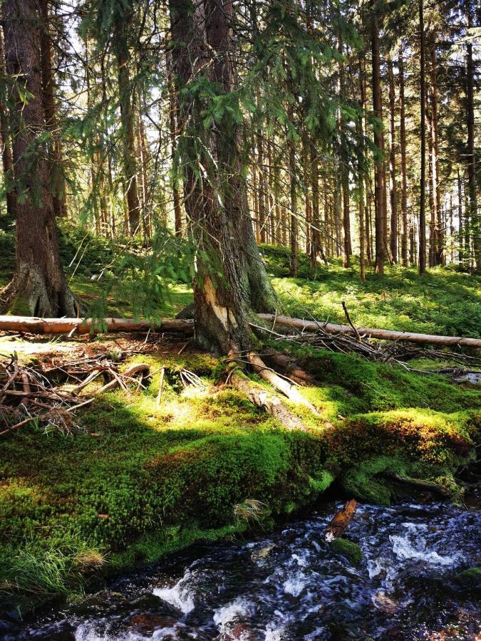 Chillout-Aparts Свєрадув-Здруй Екстер'єр фото